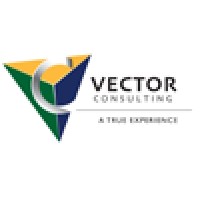 Vector Consulting